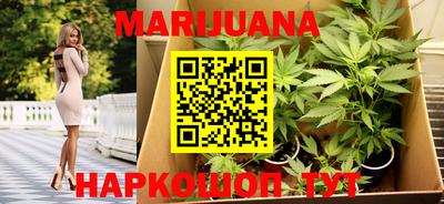 стаф Кандалакша
