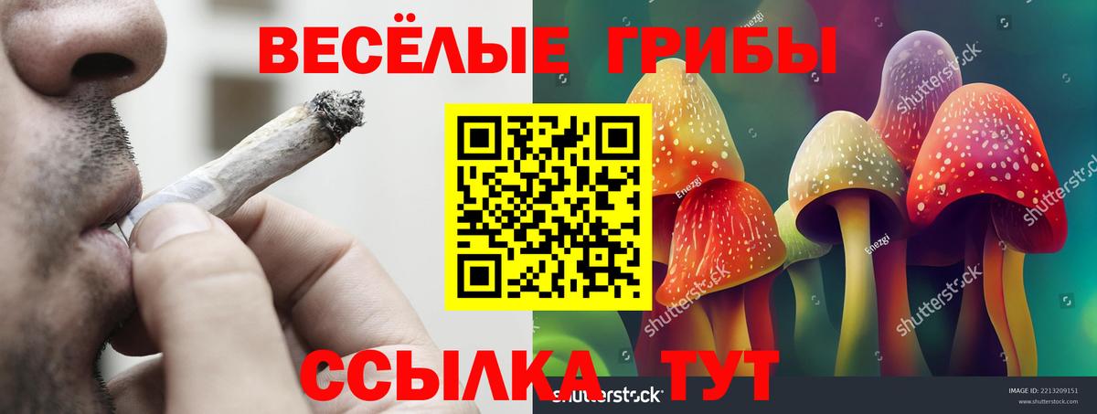 Красный Сулин  закладка  Вход с VPN  Галлюциногенные грибы мухоморы 