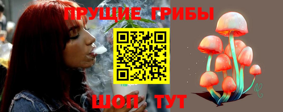 Галлюциногенные грибы прущие грибы Красный Сулин
